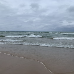 2020 Timberlane Beach
