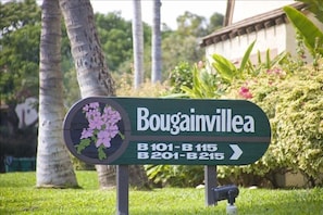 B-214 in Bougainvillea complex, just a short walk to the beach !