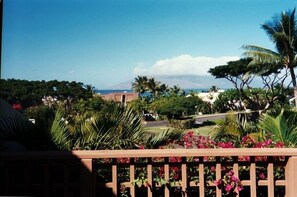 Located in the Bougainvillea Cluster-Flowers and Ocean from the Lanai