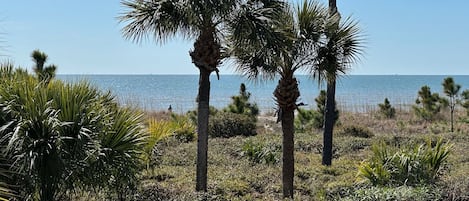 Balcony View - March 2024. Dunes are trimmed each Spring and Winter.