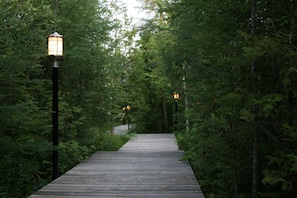 Walkway to the front entrance