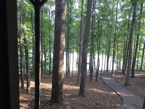 Path down to the lake in spring