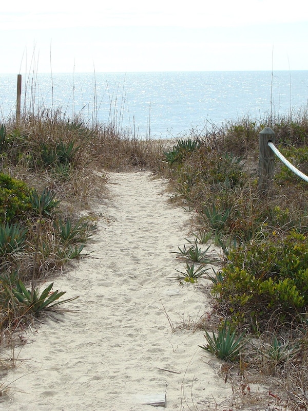 Over the dunes
