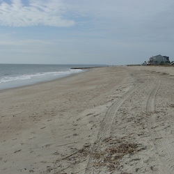 Edisto Beach!!!