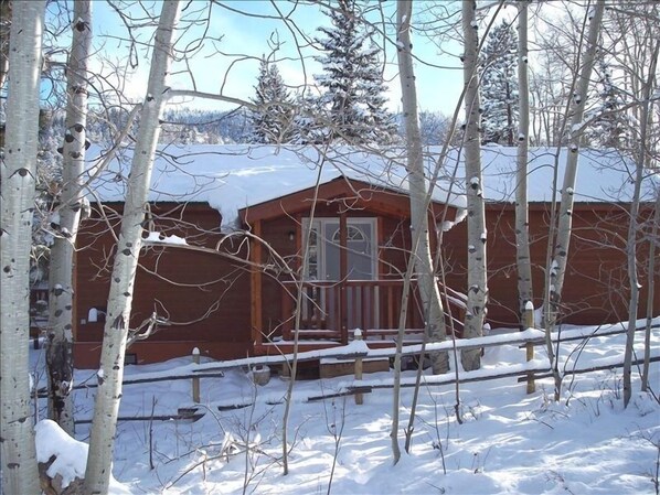 Ulkopuoli