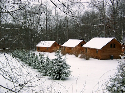 Cozy Cabin in the North Georgia Mountains - We are open and it's beautiful here!
