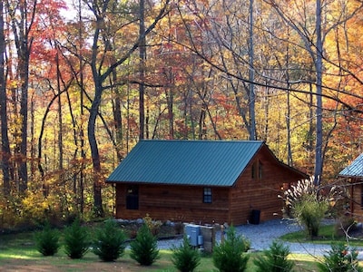 Cozy Cabin in the North Georgia Mountains - We are open and it's beautiful here!