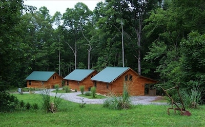 Cozy Cabin in the North Georgia Mountains - We are open and it's beautiful here!