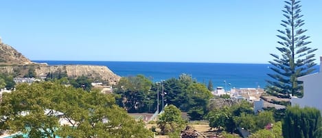 View from the terraces