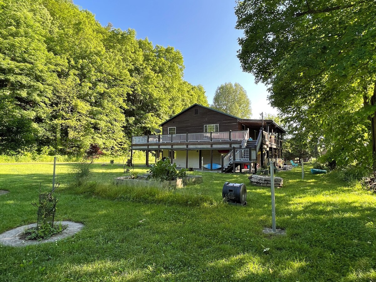 Main Image