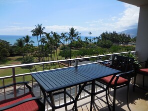 Great 16 foot Lanai to hang out. Direct Pacific Ocean view, Kalama Beach Park.