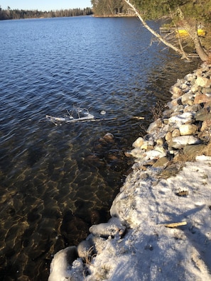 Clean waters of Howard Lake.  Roughly 15 feet of water clarity.  