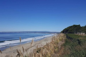 View from bluff