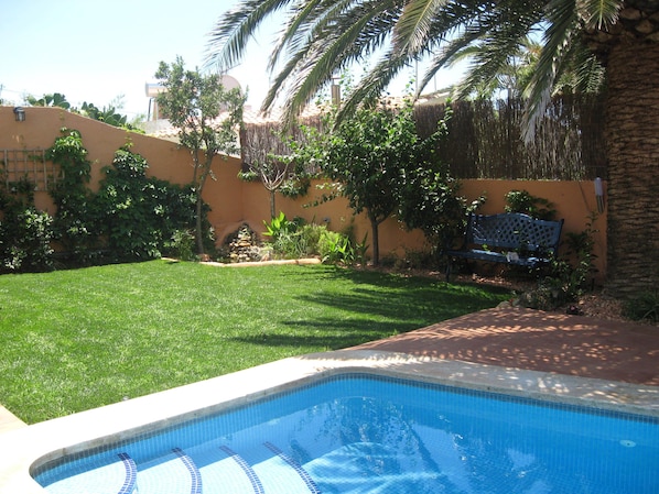 garden and pool