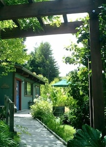the path leading to the back door.