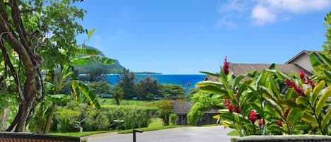 The view that greets visitors upon arrival to our magical tropical haven!