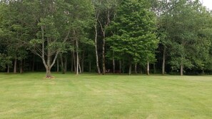 Beautiful large back yard, view of the fire pit