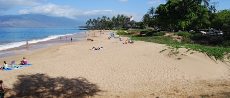 World famous Kamaole II Beach, just across the street.