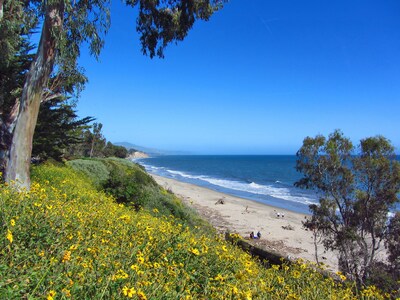 Charming Summerland Beach Cottage with Ocean View...walk to town and beach!