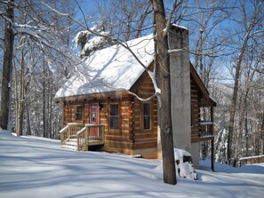 Winter Mountain and River Views