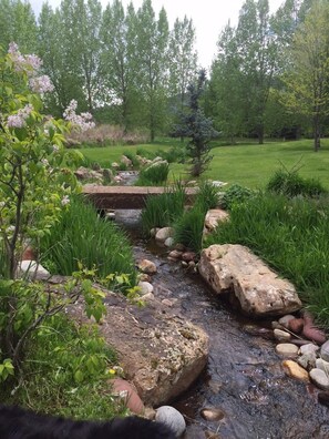 Tranquil stream with flagstone patio and bar in back yard