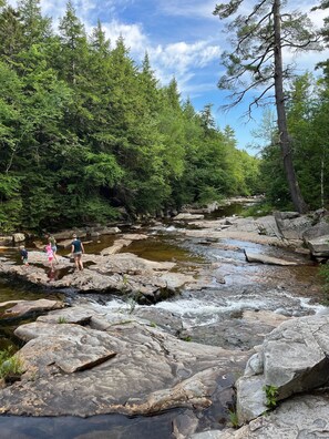 Must see Jackson Falls on a beautiful Summer day!