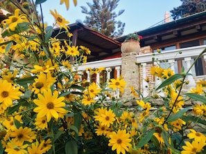 Emerald Villa
