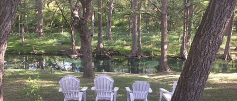 Water Front, Cypress Creek...spring fed and flowing.
PETS WELCOME