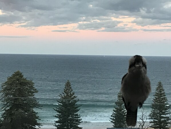 A guest enjoys the regular visitor
