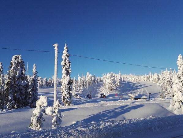Skidåkning