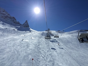 Skidåkning