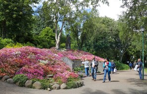 Sevärdhet