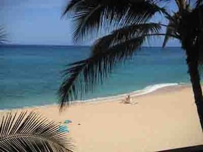 BEST BEACH ON OAHU!!!!   THIS IS GENERAL VIEW--NOT FROM YOUR CONDO