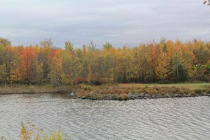 Lakeview from Deck of  preserved land.  Often deer will graze here.