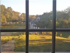 View of the barn in the back yard