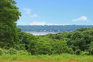 Back Yard View