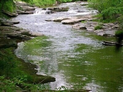 Charming Woodstock Teahouse Cottage by the Sawkill Creek trout stream