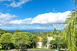 View From Lanai and Family room