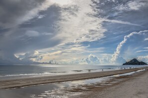 Morning walk by the beach 