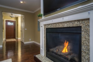 Living room fireplace
