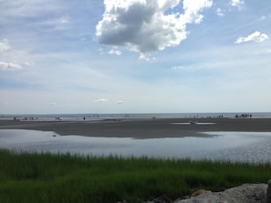 Low Tide - 1/2 mile of sandbars to walk and relax