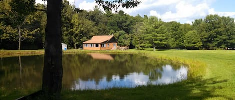 Pond View