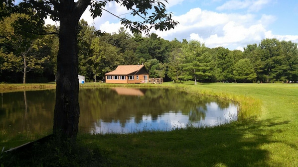 Pond View