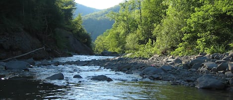 The Stony Clove - a Catskill Treasure