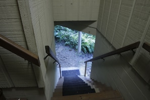 Stairs leading to Tree House entrance.
