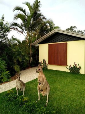 Jardines del alojamiento