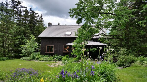 Exteriör