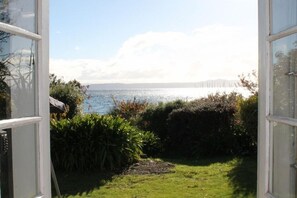 The View