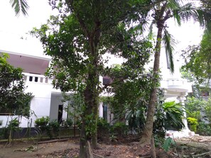 side view my home