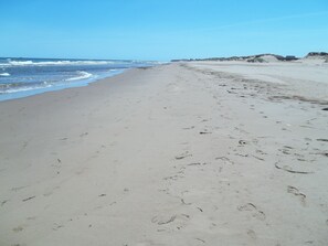 Directly over our dune you'll find this starting point for endless walks.